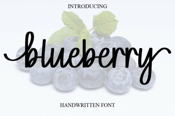 Blueberry: A Playful Handwritten Font for Heartfelt Designs