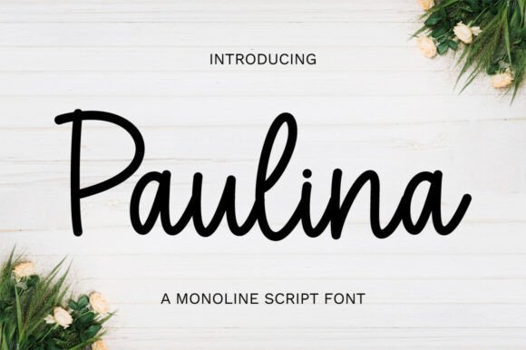 Discovering the Grace of Paulina: A Font for Elegant Design